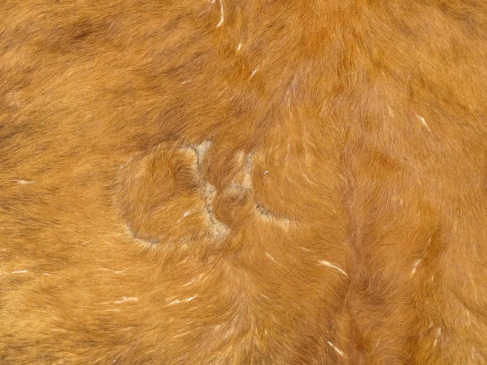 Lot (2) Cowhides - 11