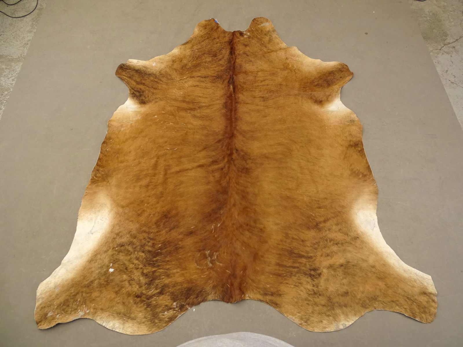 Lot (2) Cowhides - 12