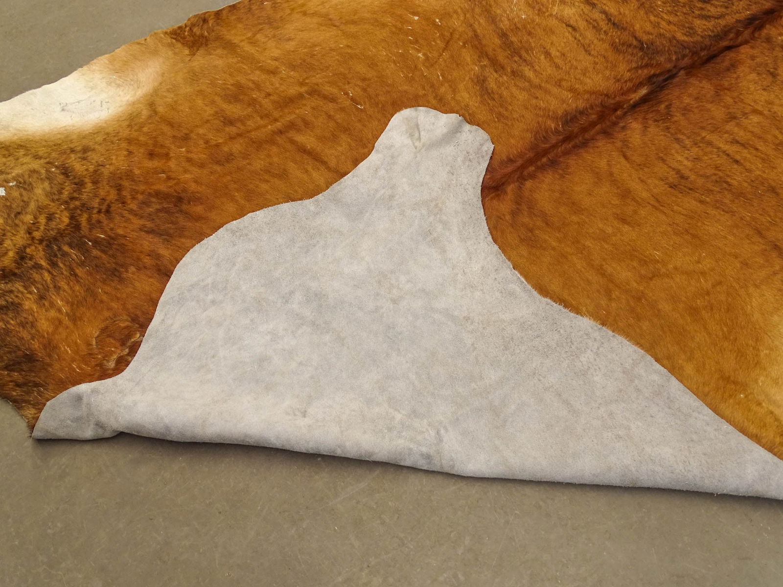 Lot (2) Cowhides - 13