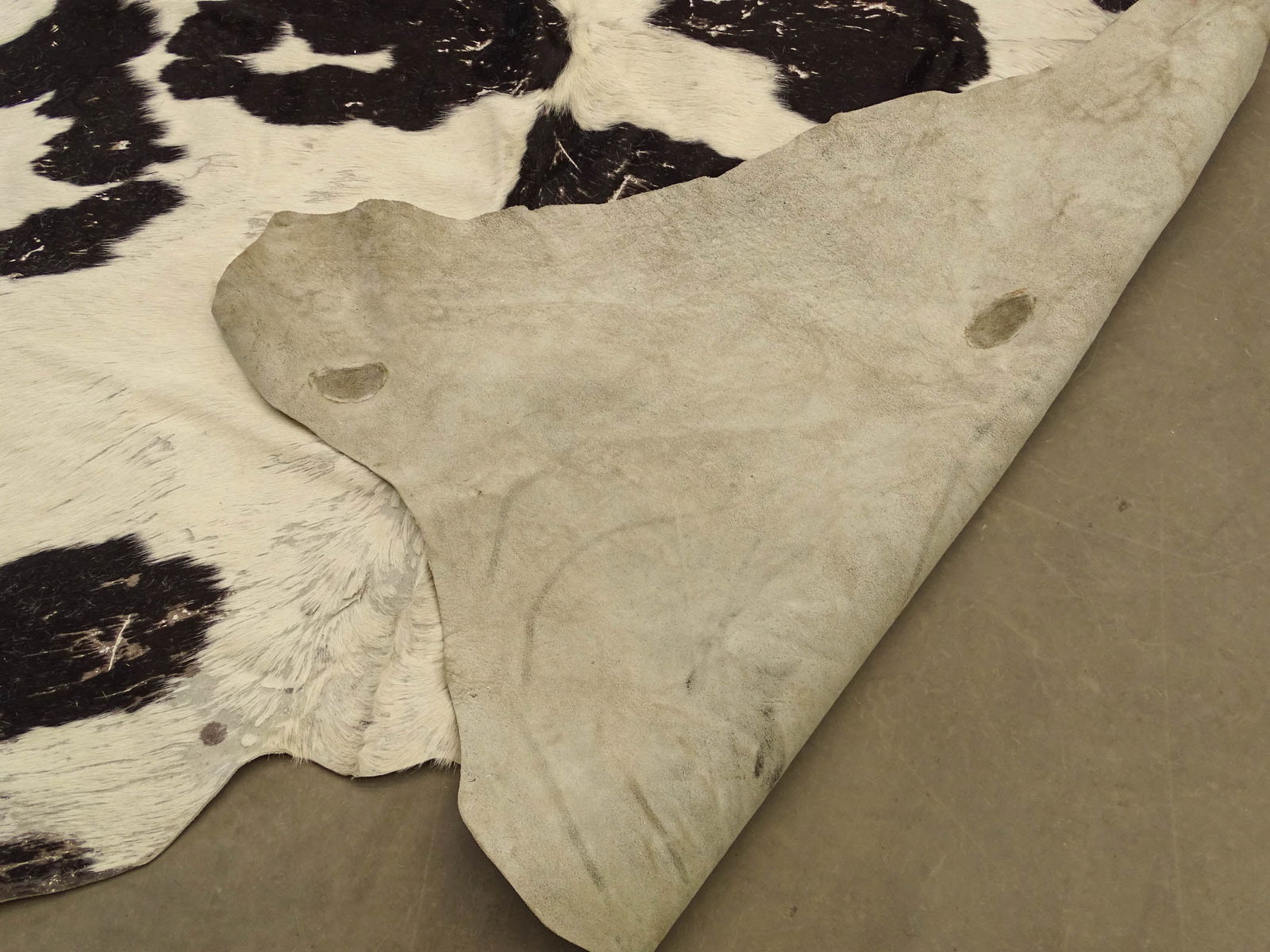 Lot (2) Cowhides - 7