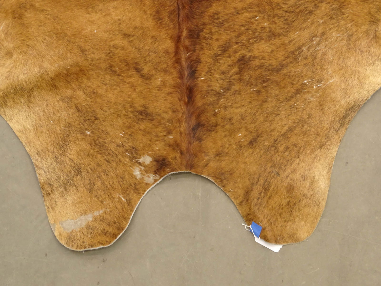 Lot (2) Cowhides - 9