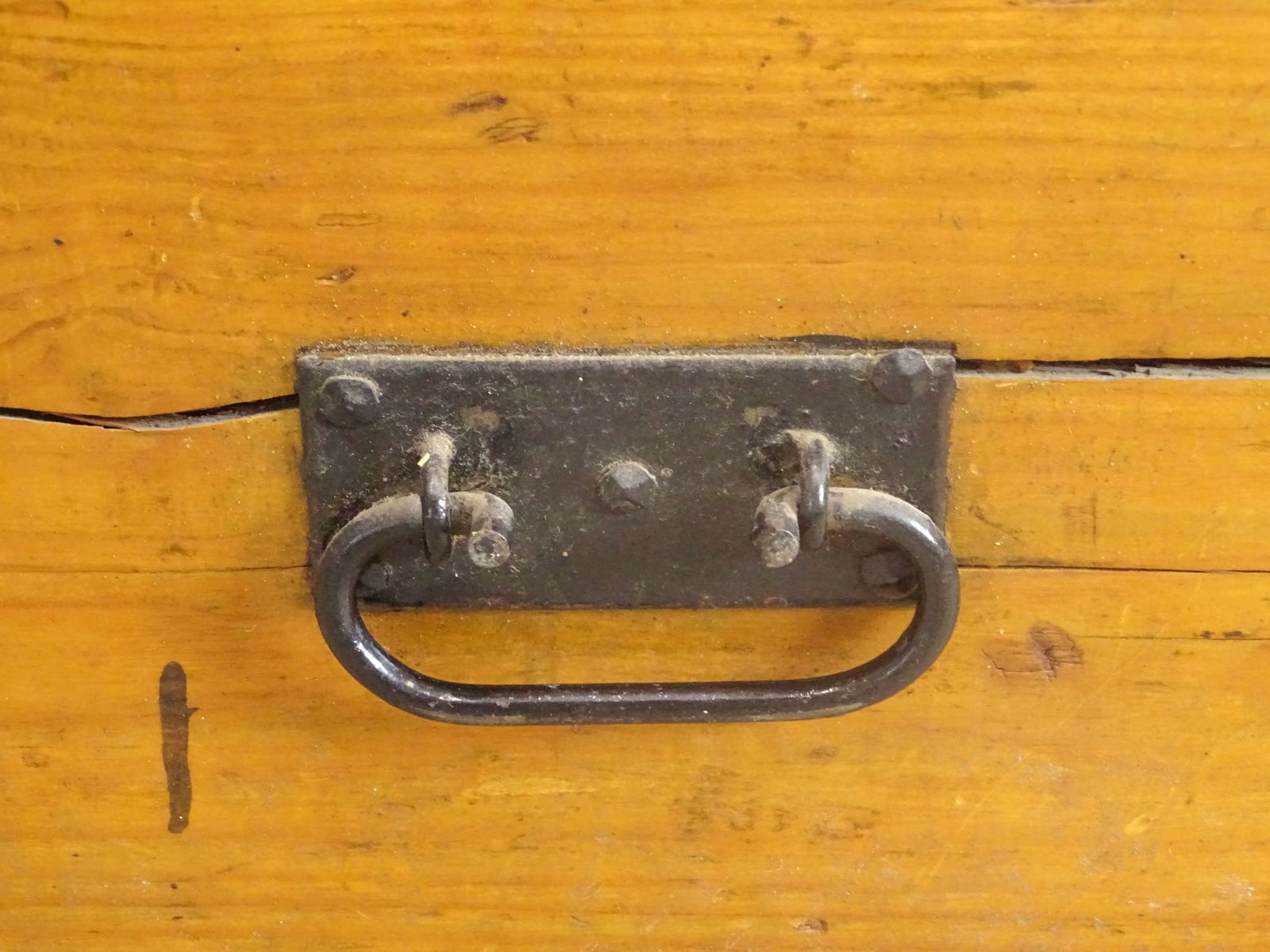 19th c. Continental Trunk - 6