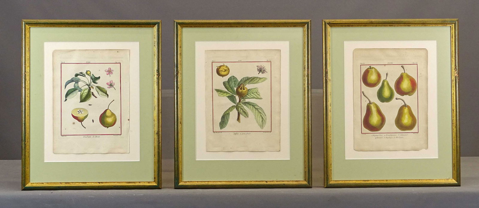 Set of (3) 18th c. Fruit Study Prints: Set of (3) 18th c. Fruit Study prints. Sight 13" x 9", overall 21 1/2" x 17".