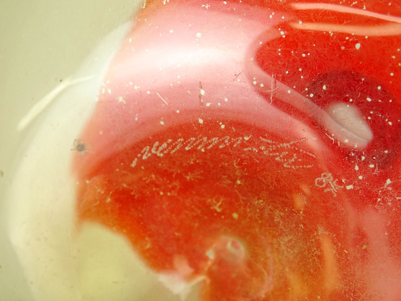 Murano Venini Vase - 5