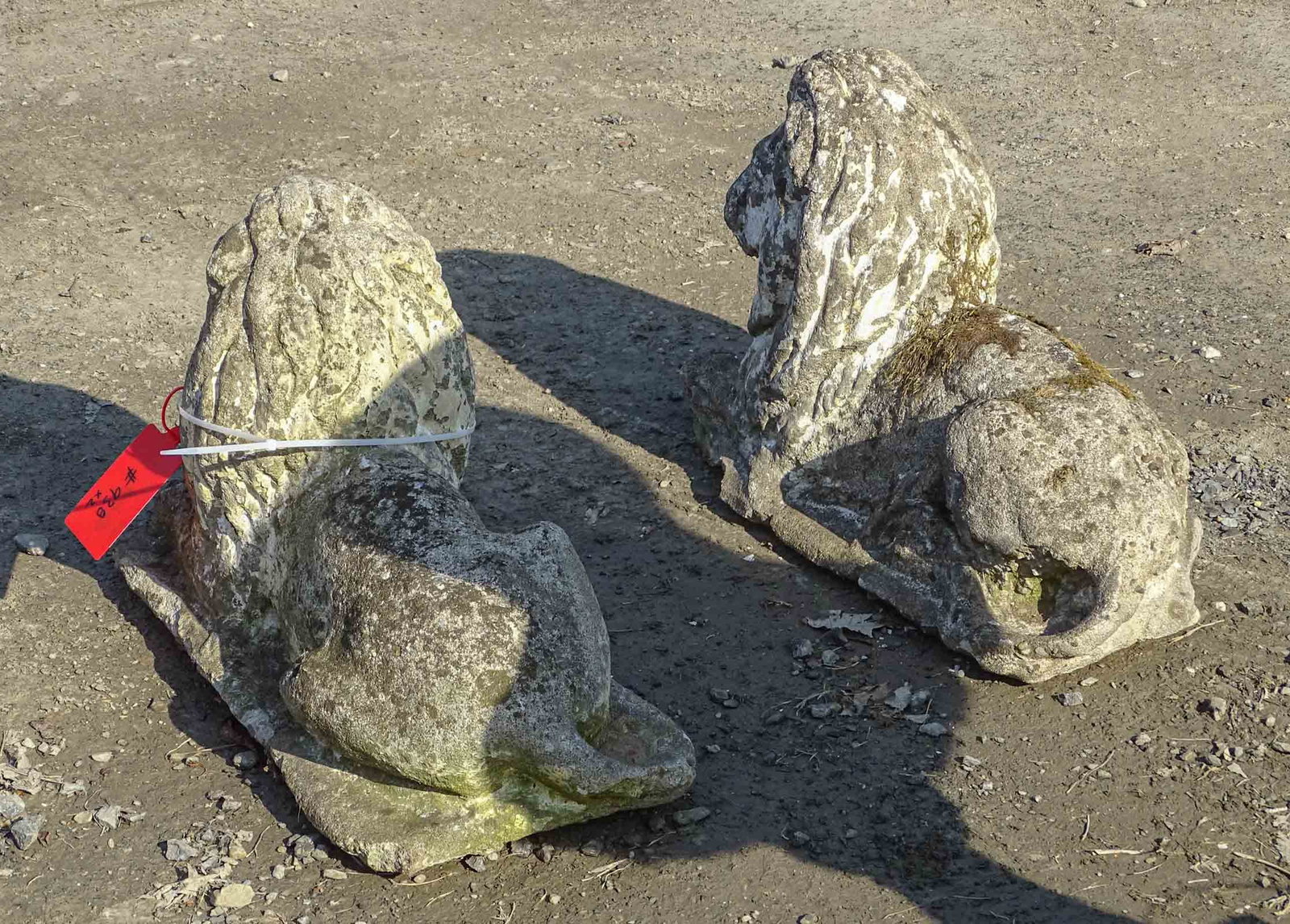 Pair Poured Stone Lions - 5