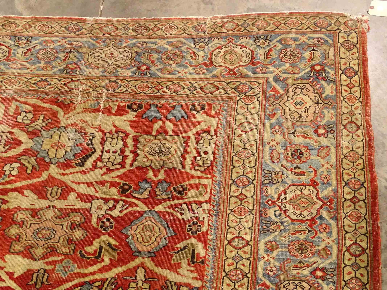Oriental Rug - 3