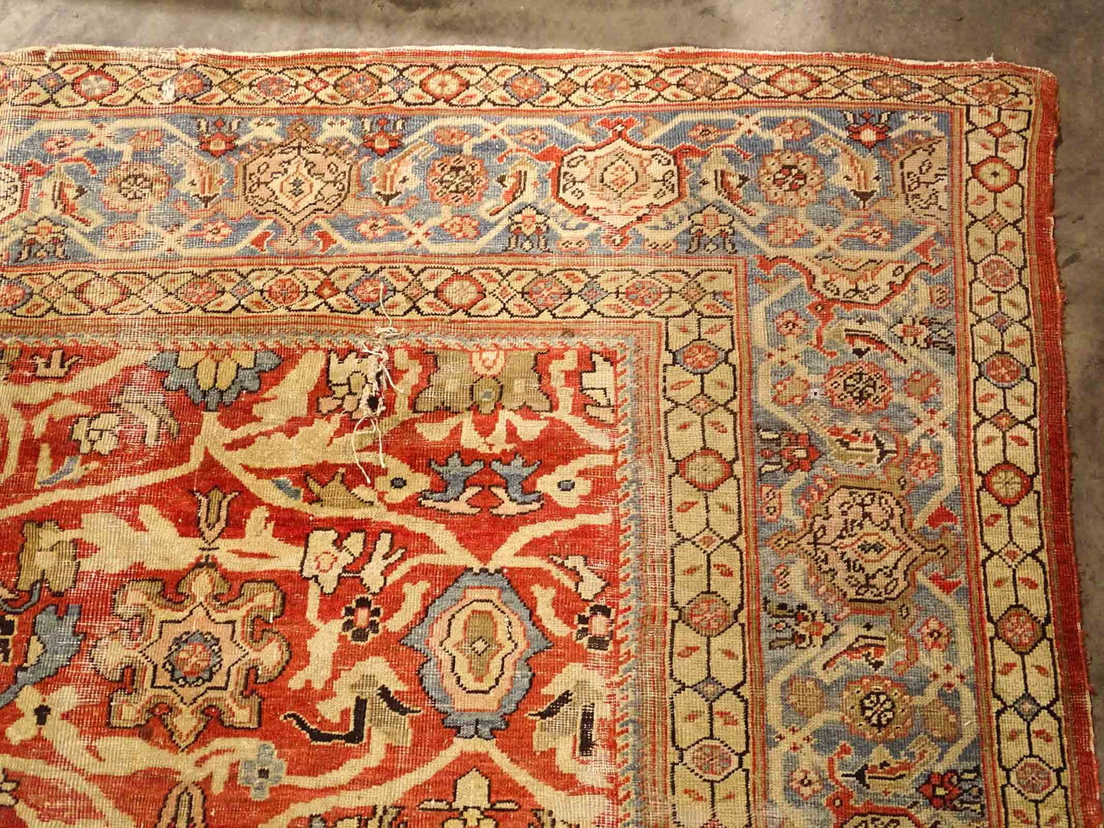 Oriental Rug - 4