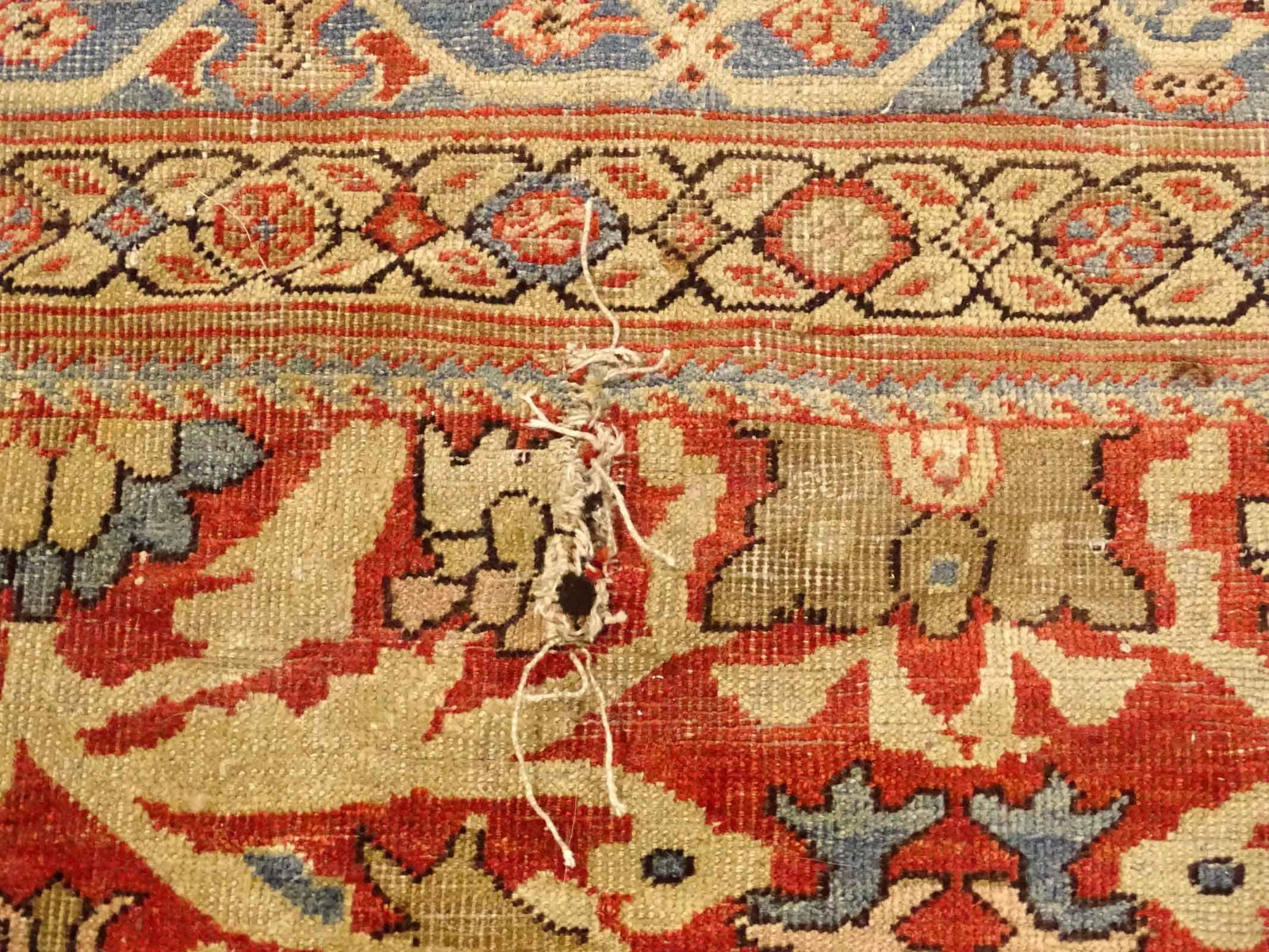 Oriental Rug - 5