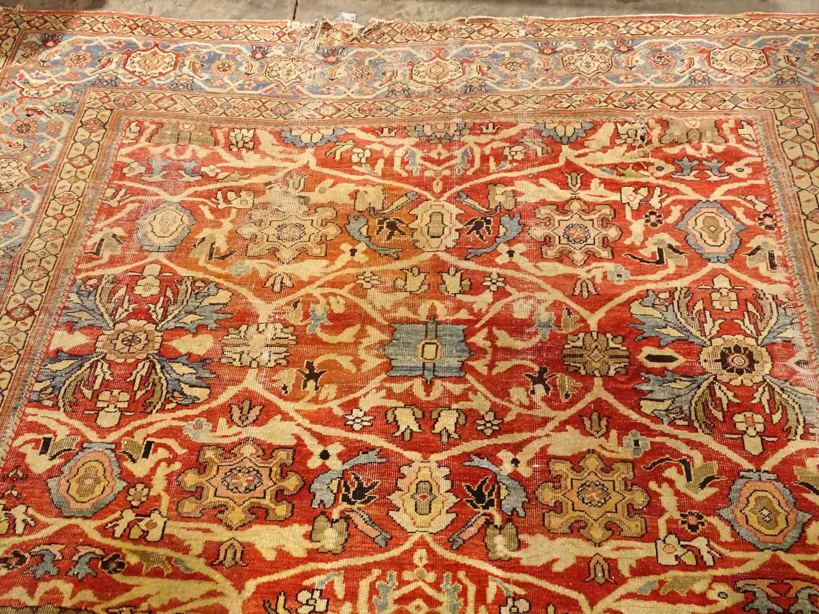 Oriental Rug - 7