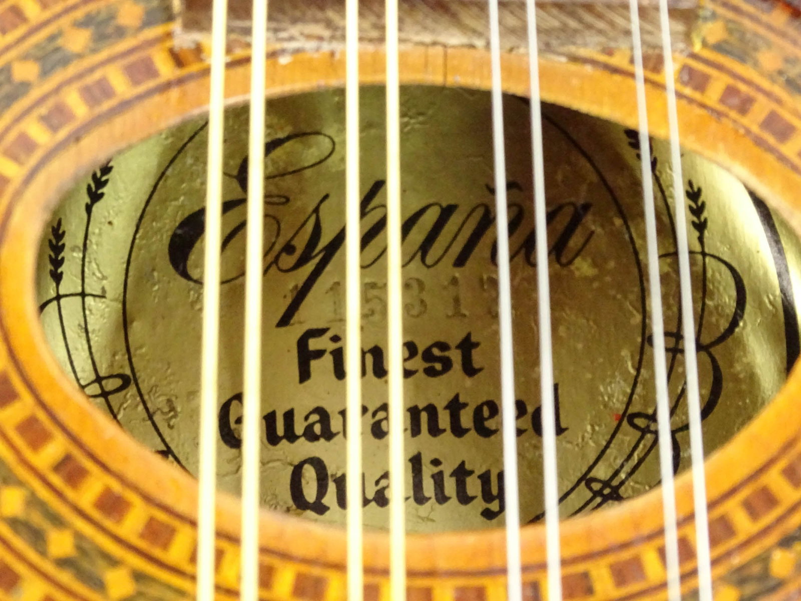 Espana Mandolin - 5
