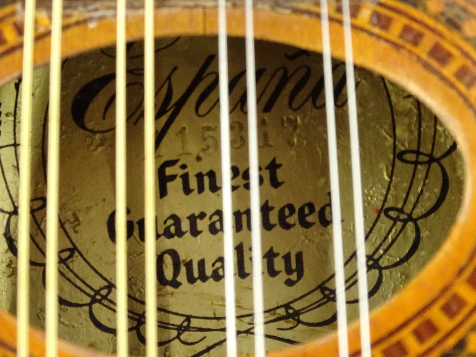 Espana Mandolin - 6
