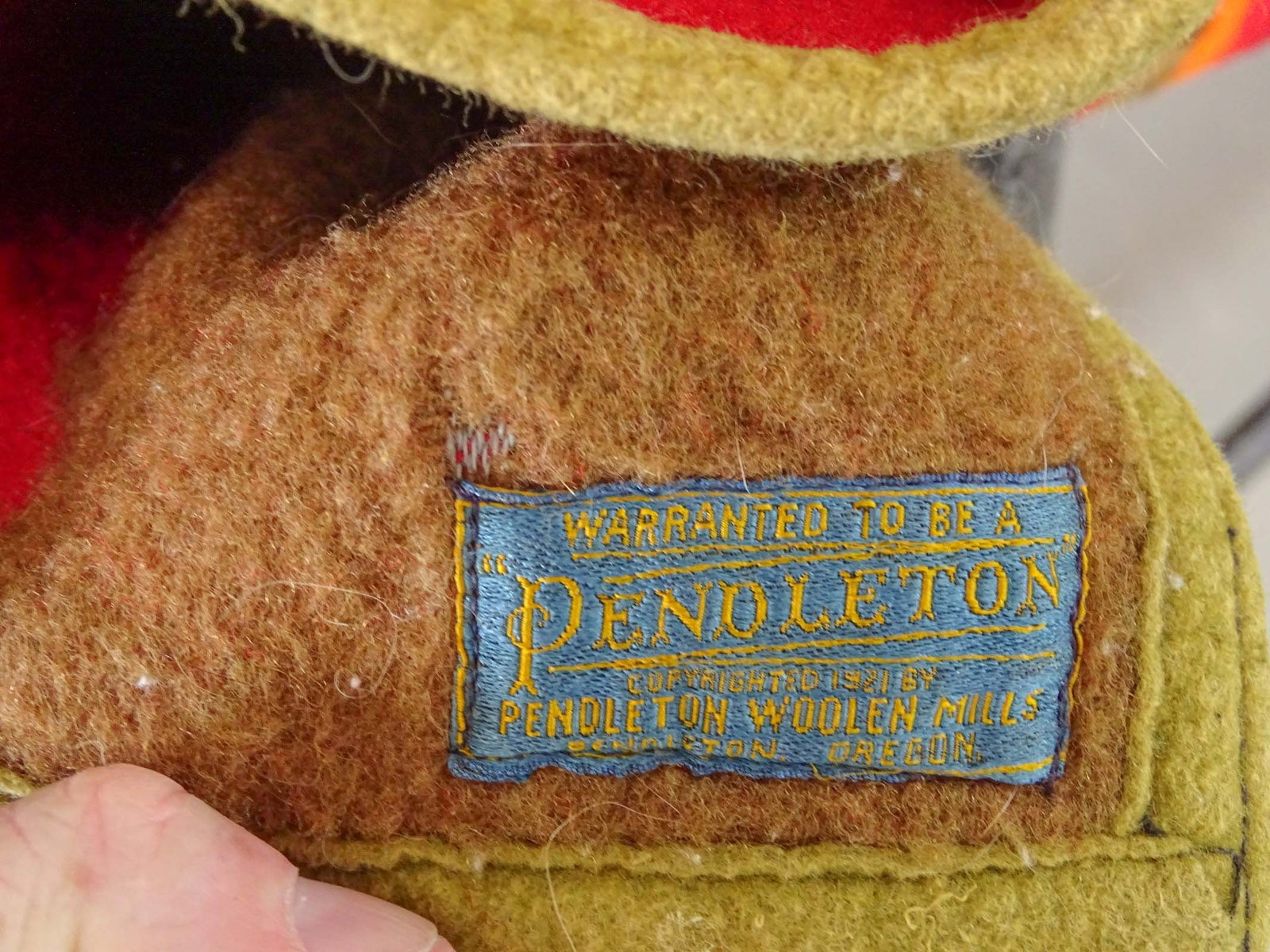 Pendleton Blanket - 5