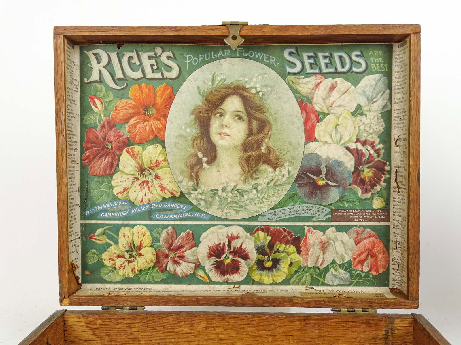 Two Early Seed Boxes - 2