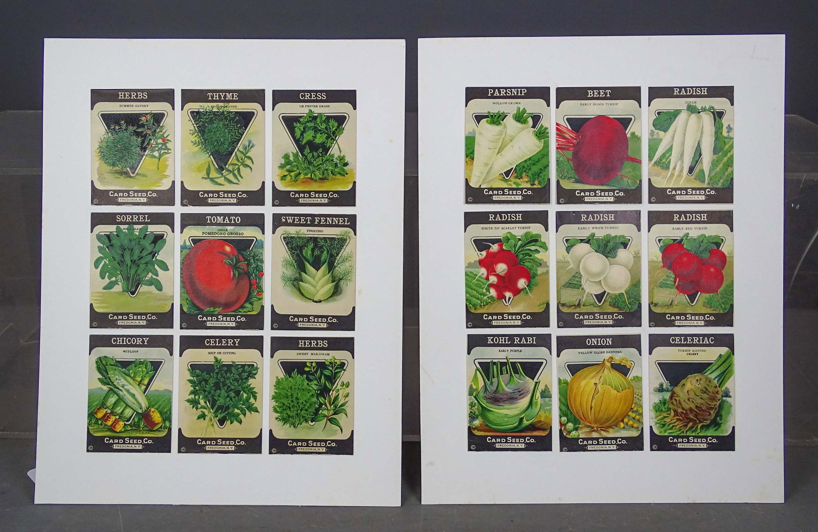 Seed Packets Lot - 13