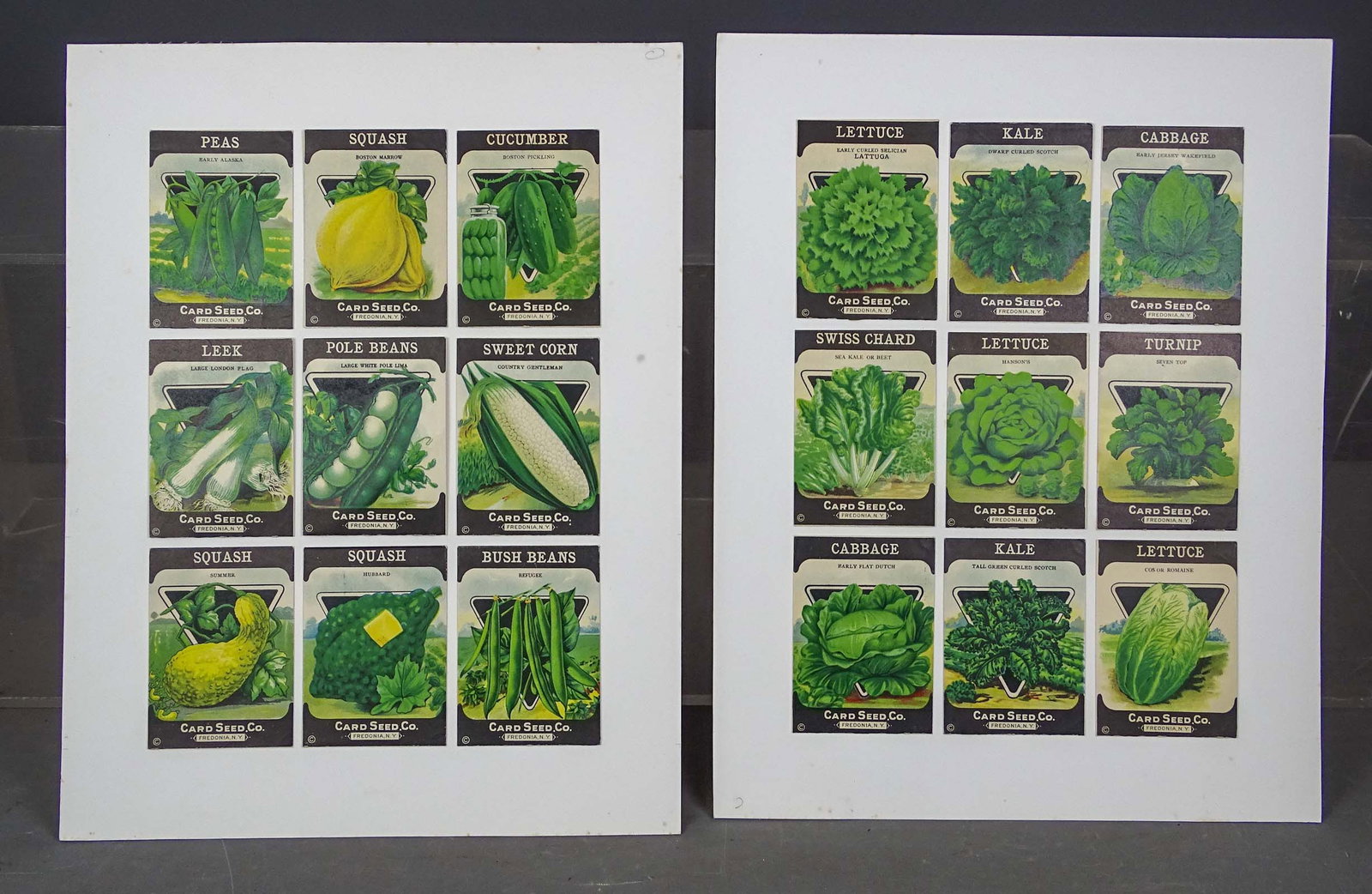 Seed Packets Lot - 14