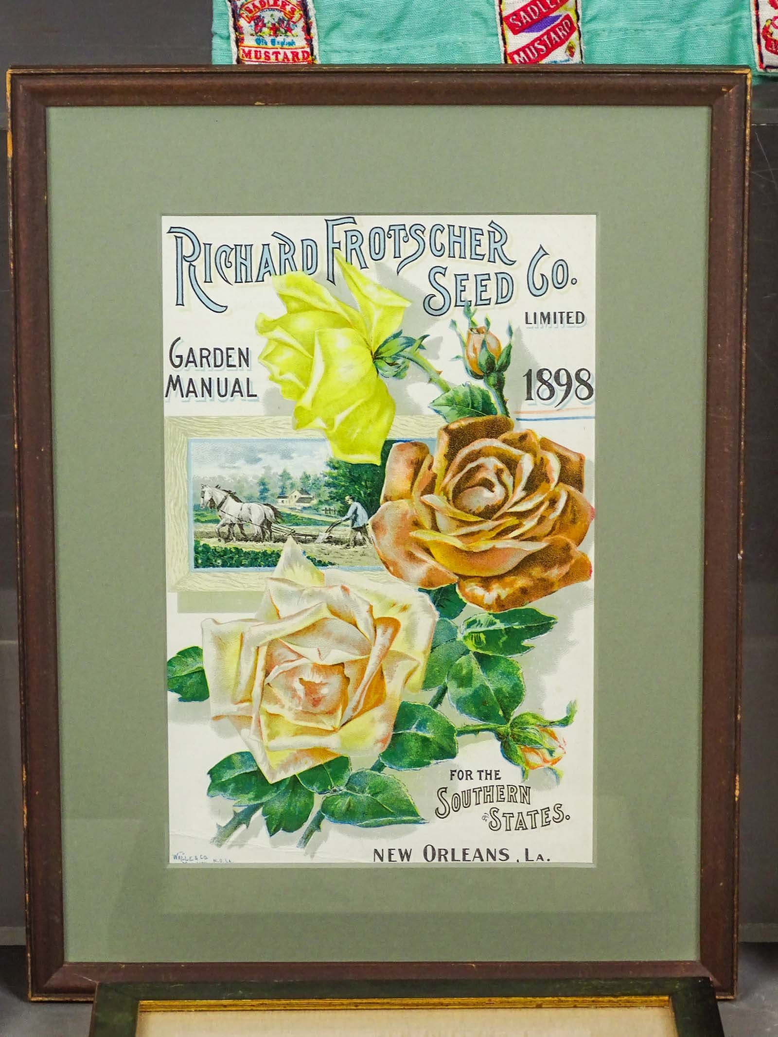 Seed Packets Lot - 2