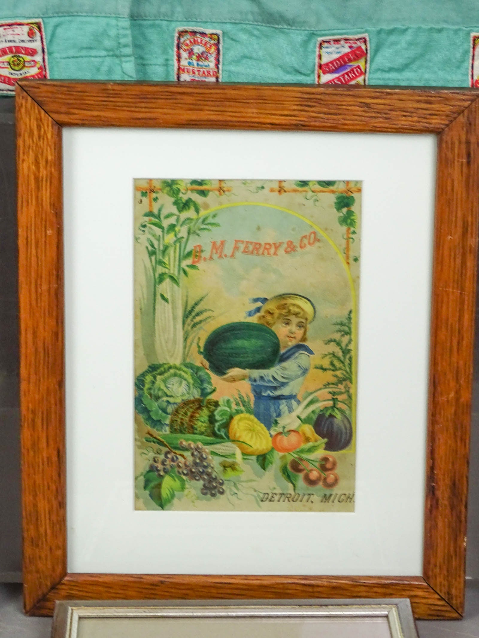 Seed Packets Lot - 3