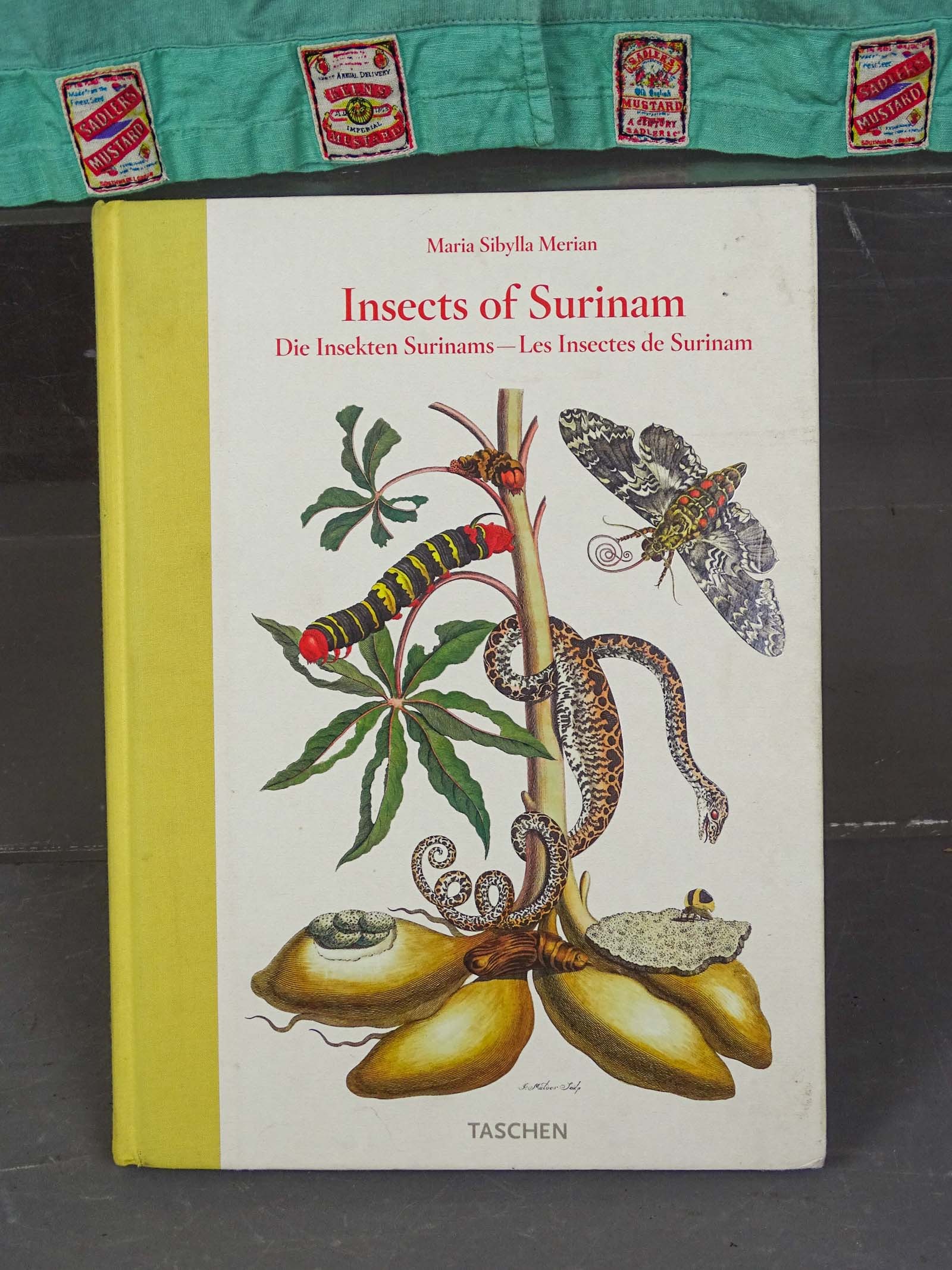 Seed Packets Lot - 6