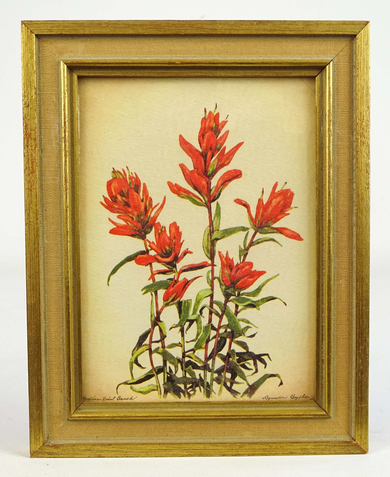 Artwork Lot - 6