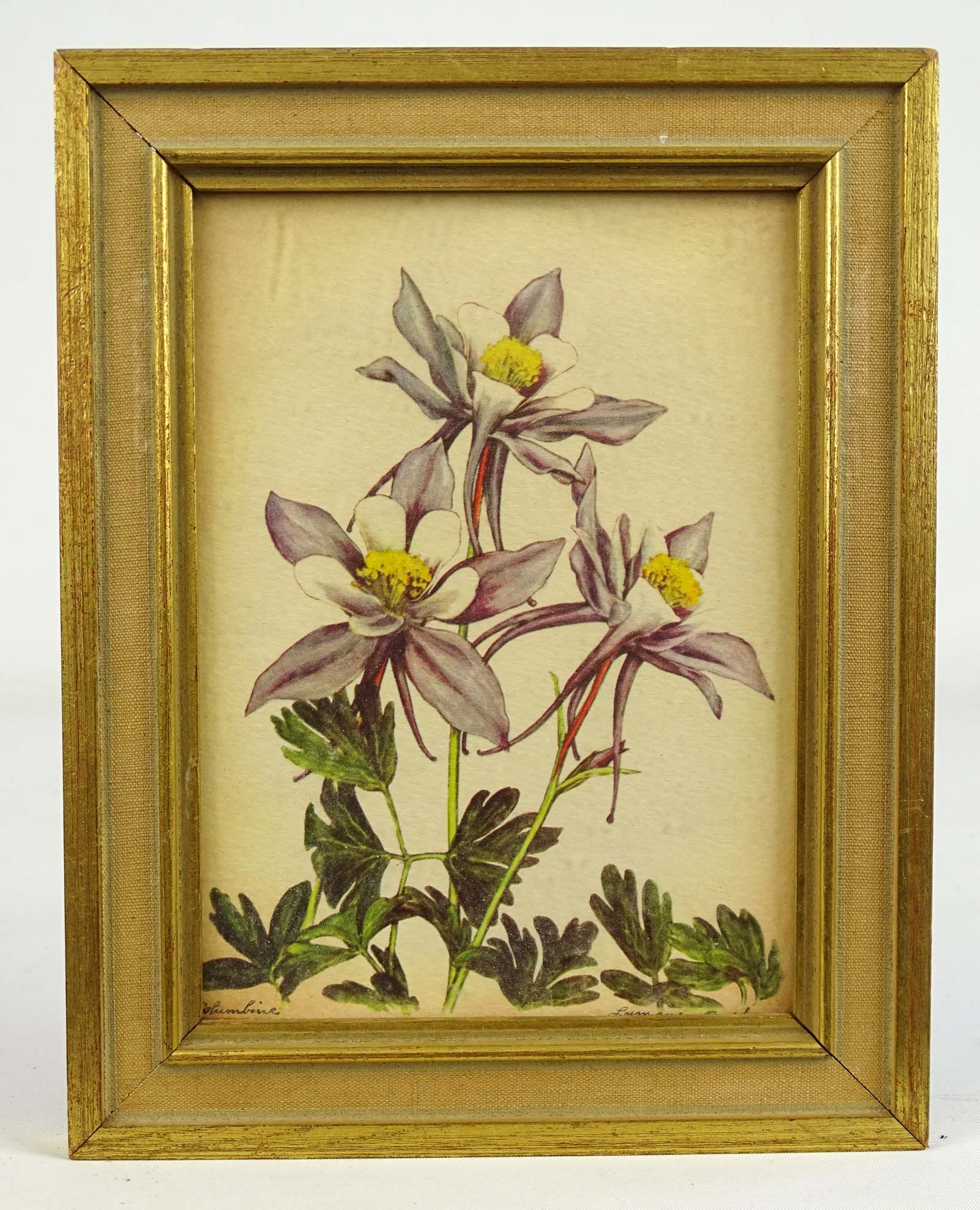 Artwork Lot - 8