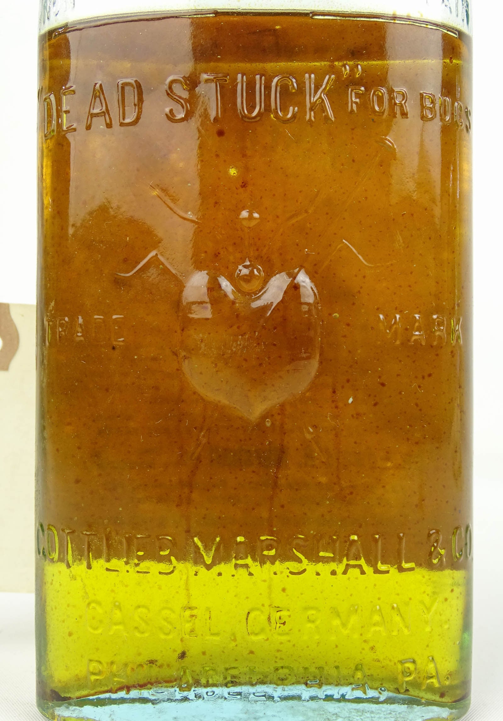 Vintage Bottle - 5