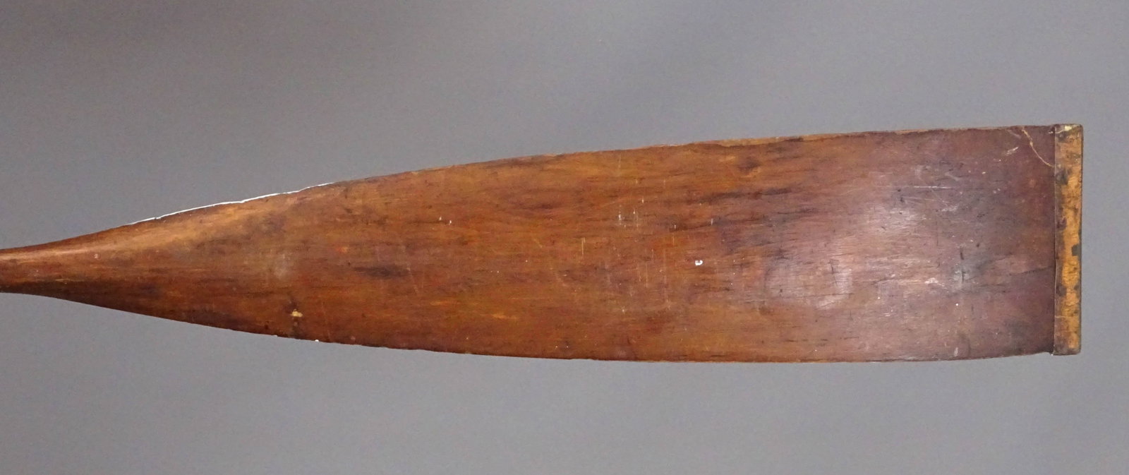 Large Rowing Oar Marked Harvard - 5