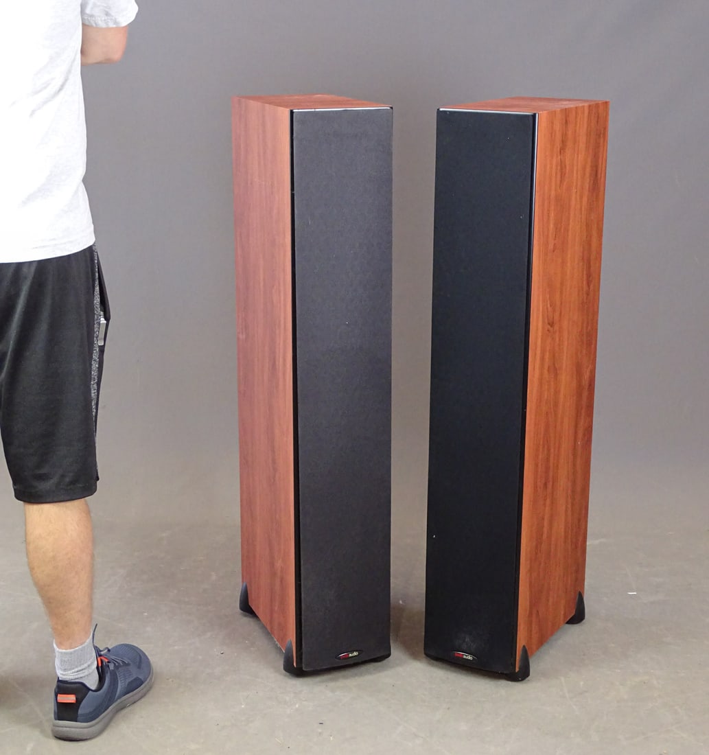 Polk Audio Monitors (1 of 7)