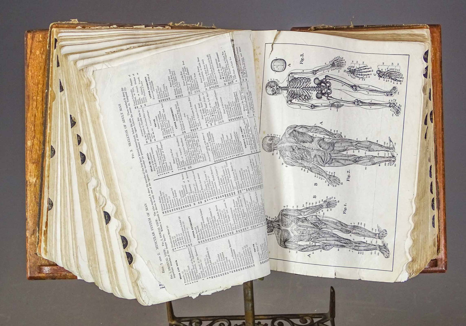 Victorian Dictionary Stand - 3