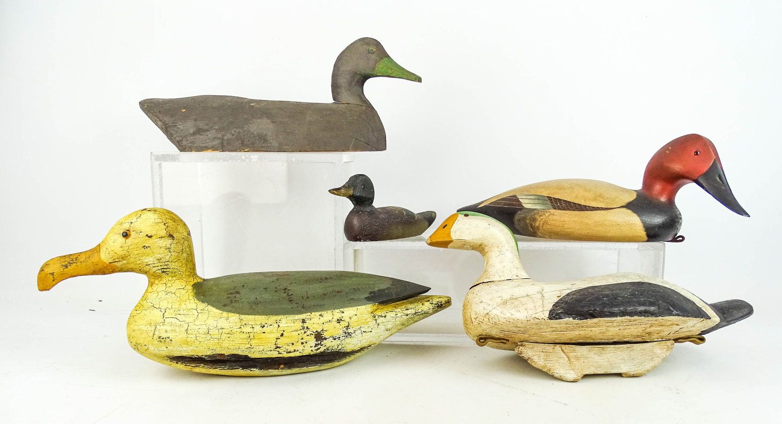 Decoy Lot: Decoy lot including: Jonathan P. Dourtall "Herring Gull '05 Burlington Flats N.Y." (20 1/4"), Jim Keefer "Canvasback 1976" (16 1/2"), unsigned Eider duck (16 1/2"), unsigned black duck (19"),