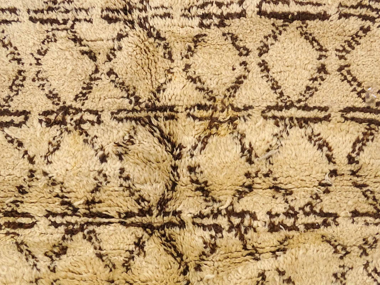 Roomsize Wool Rug - 5