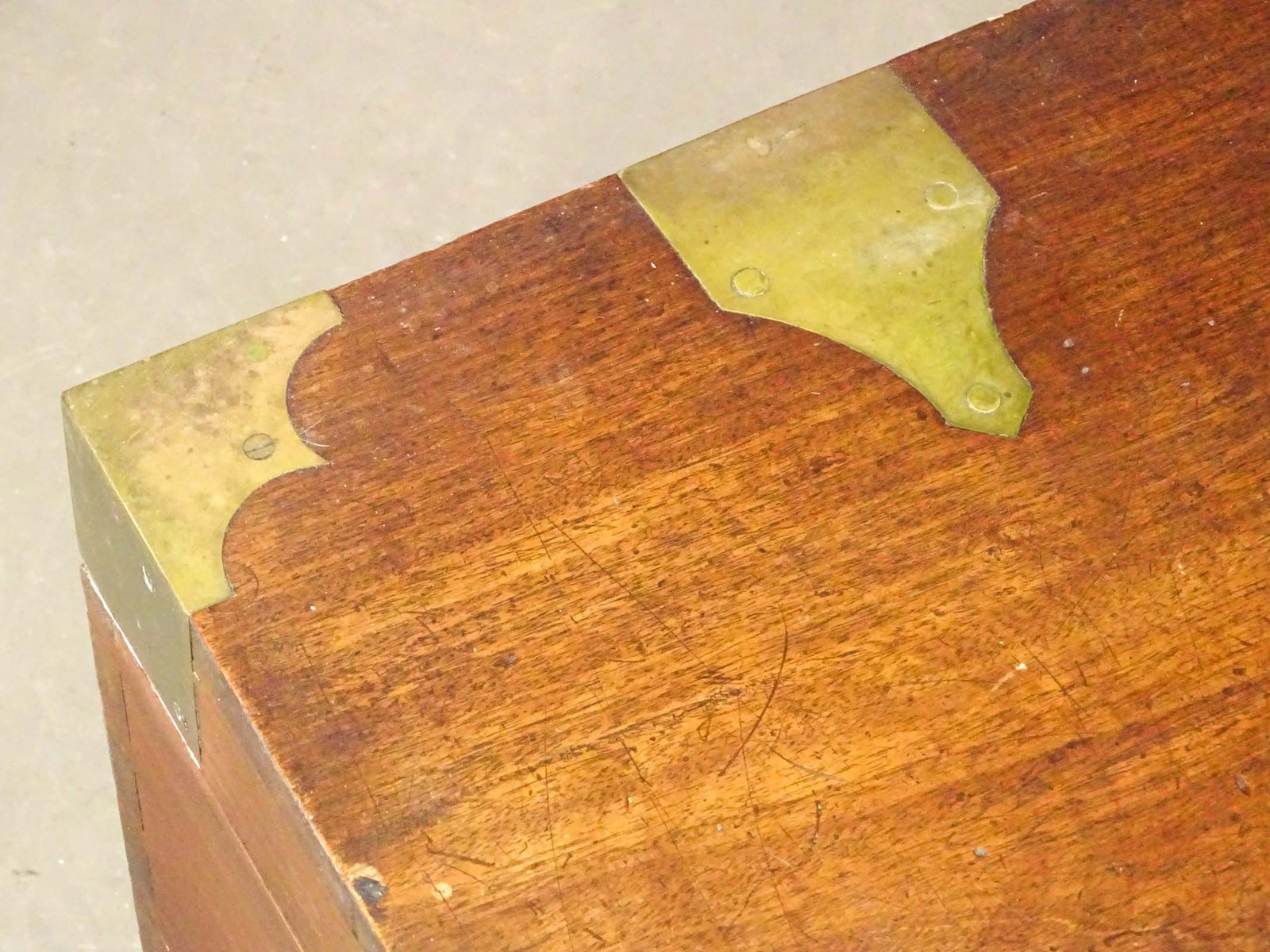 Cedar Trunk - 2
