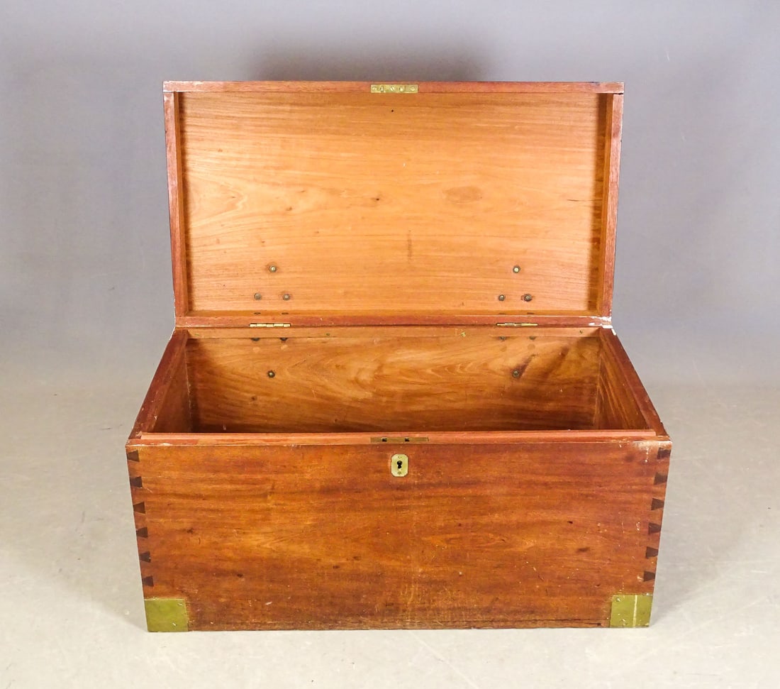 Cedar Trunk - 3