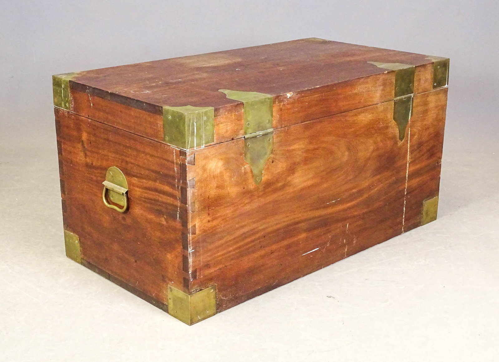 Cedar Trunk - 4
