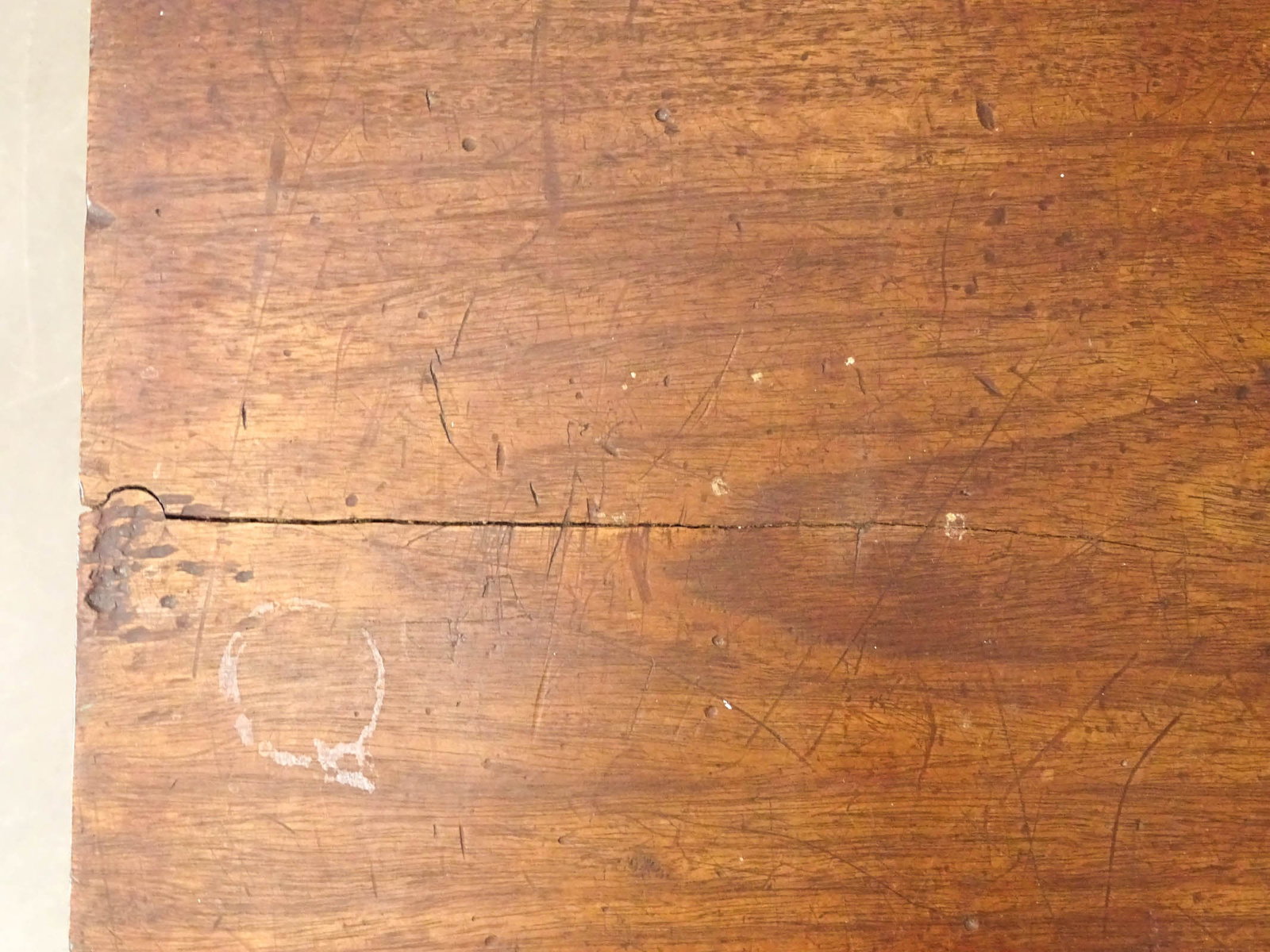 Cedar Trunk - 5