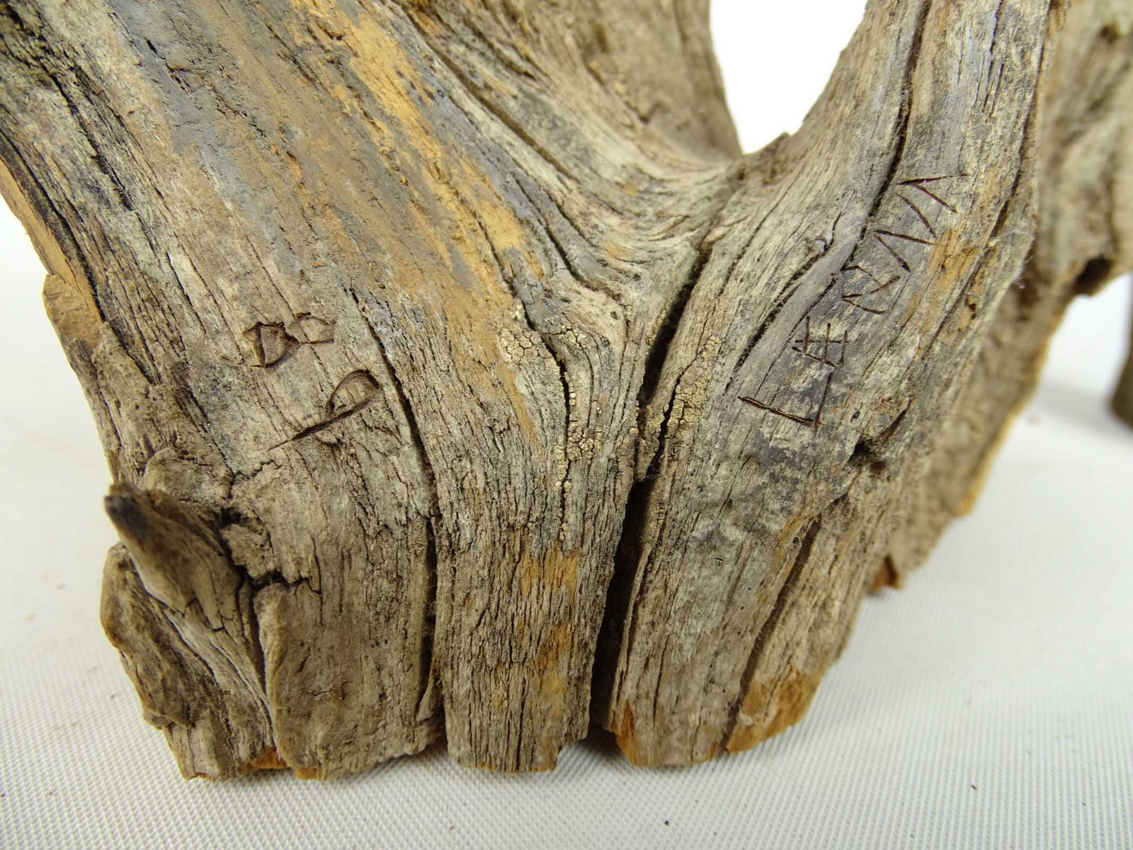 Bird Carvings - 9