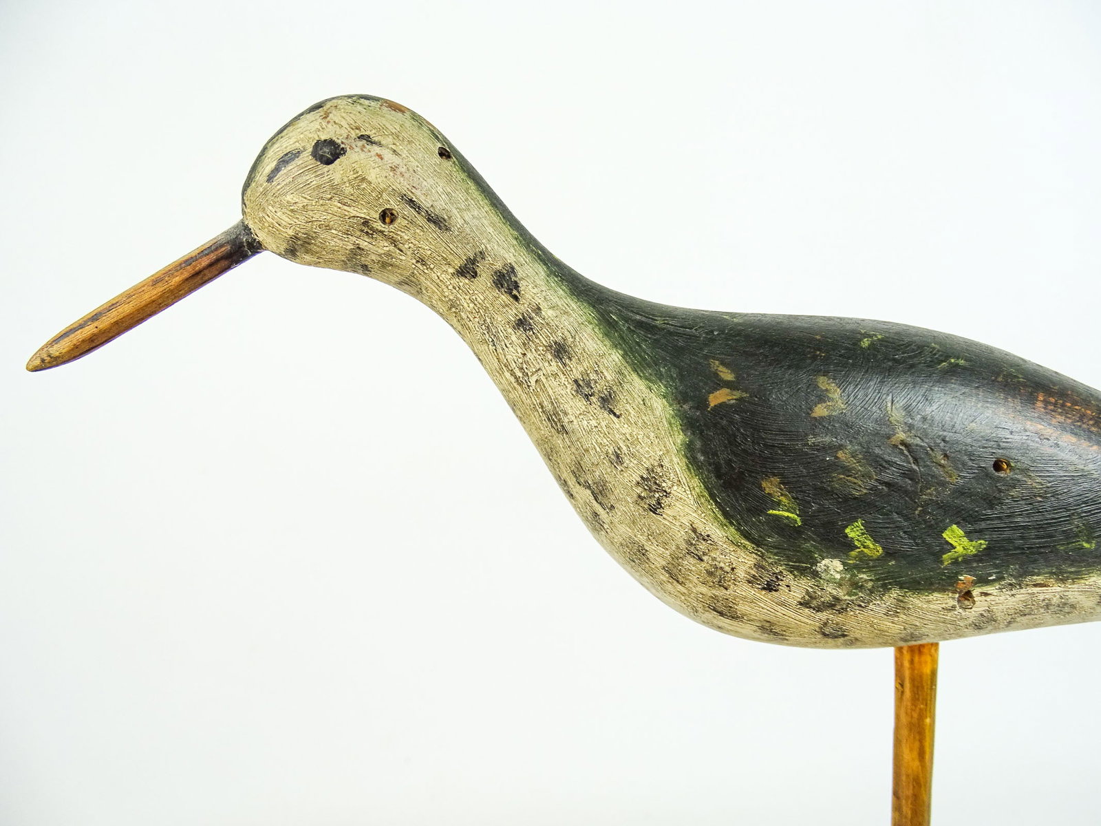 Shorebird - 3