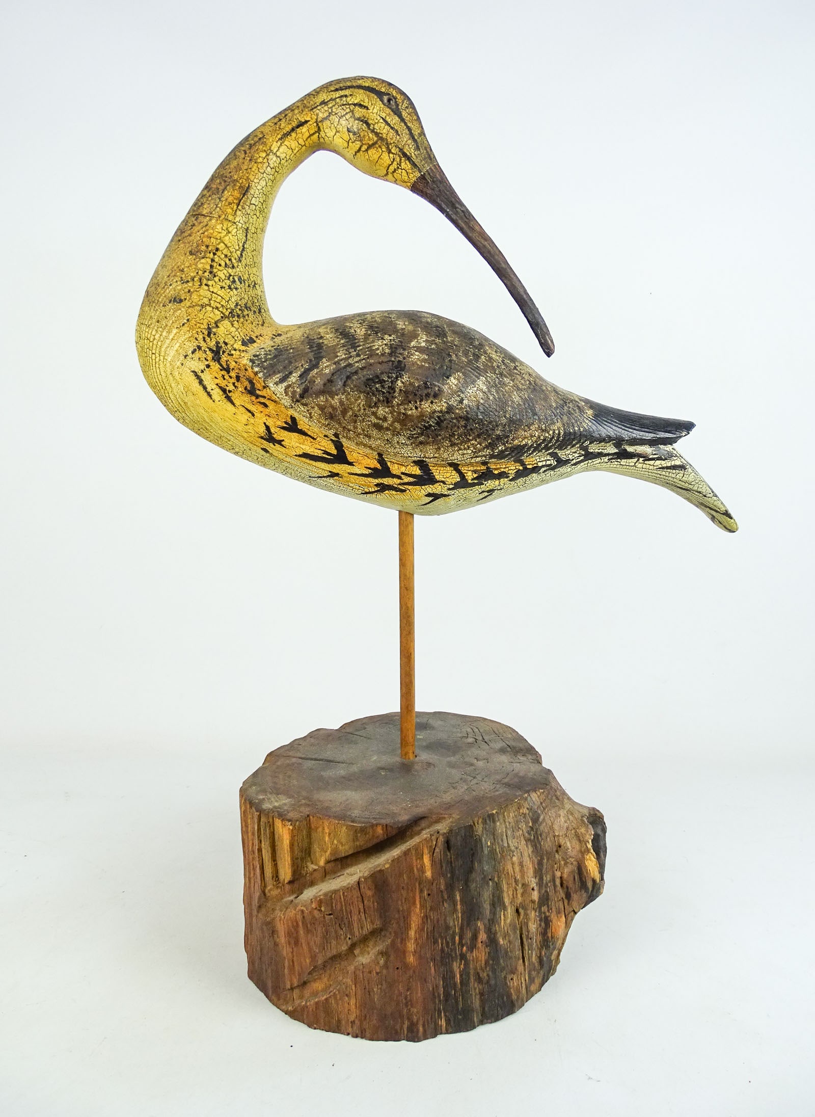 Shorebird: Carved and painted shorebird. Marked "TPL". 16 1/2" x 9".