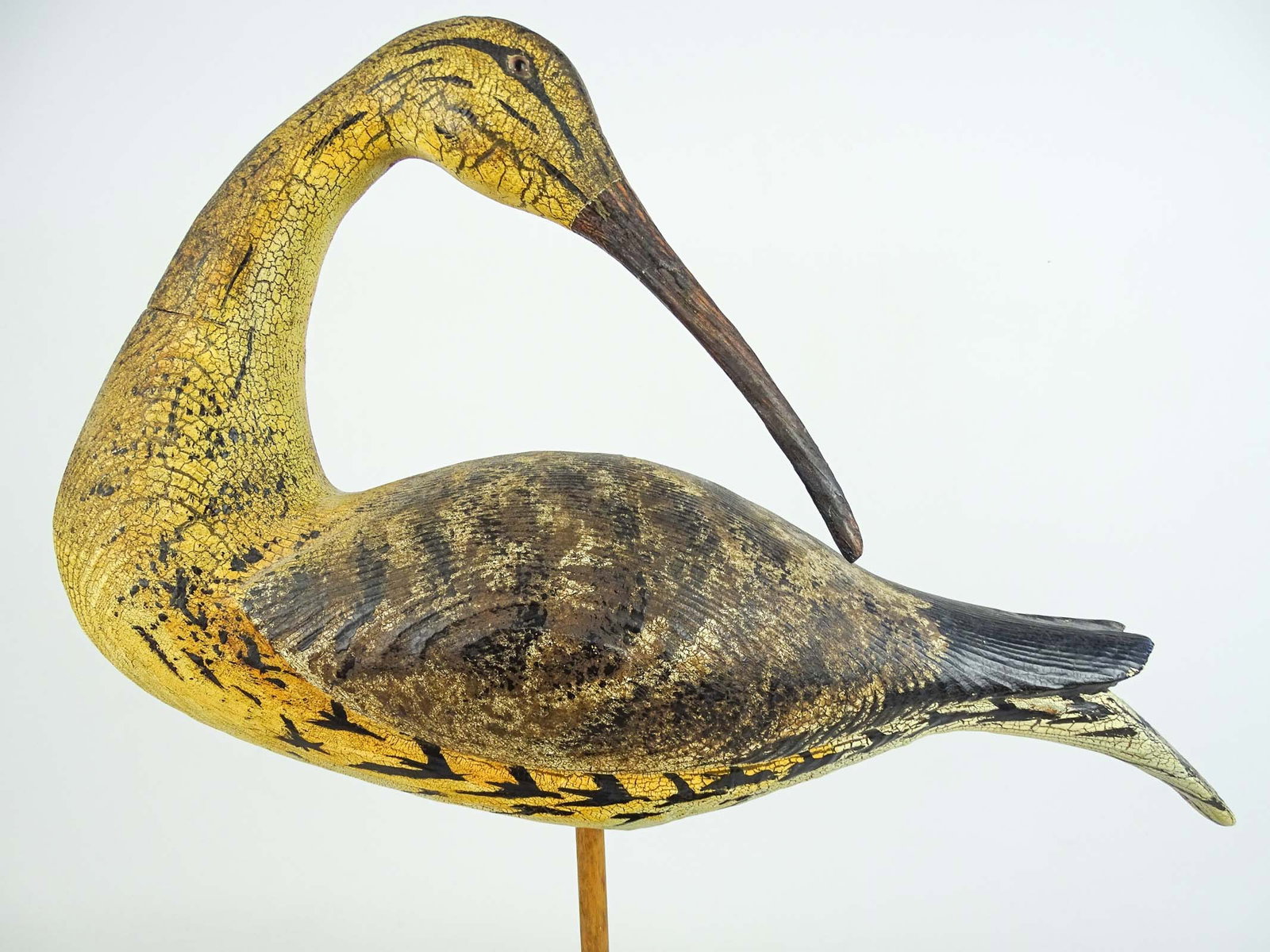 Shorebird - 2