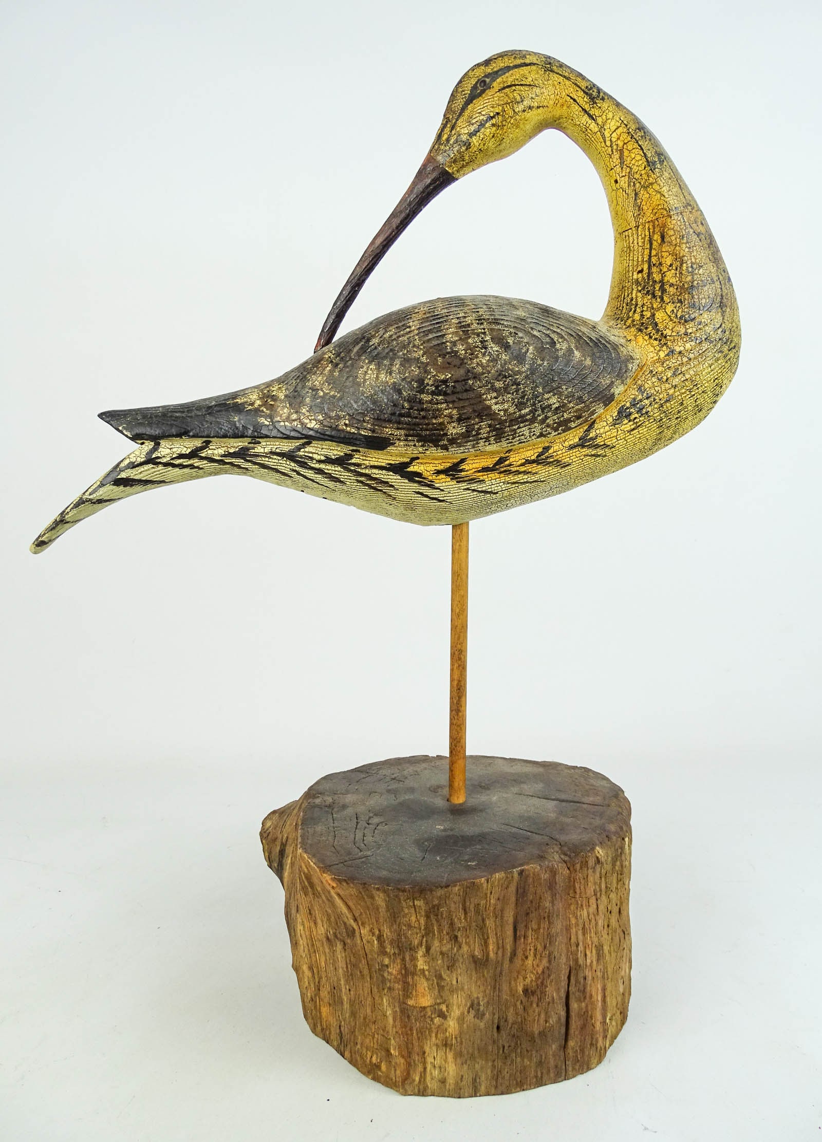 Shorebird - 4