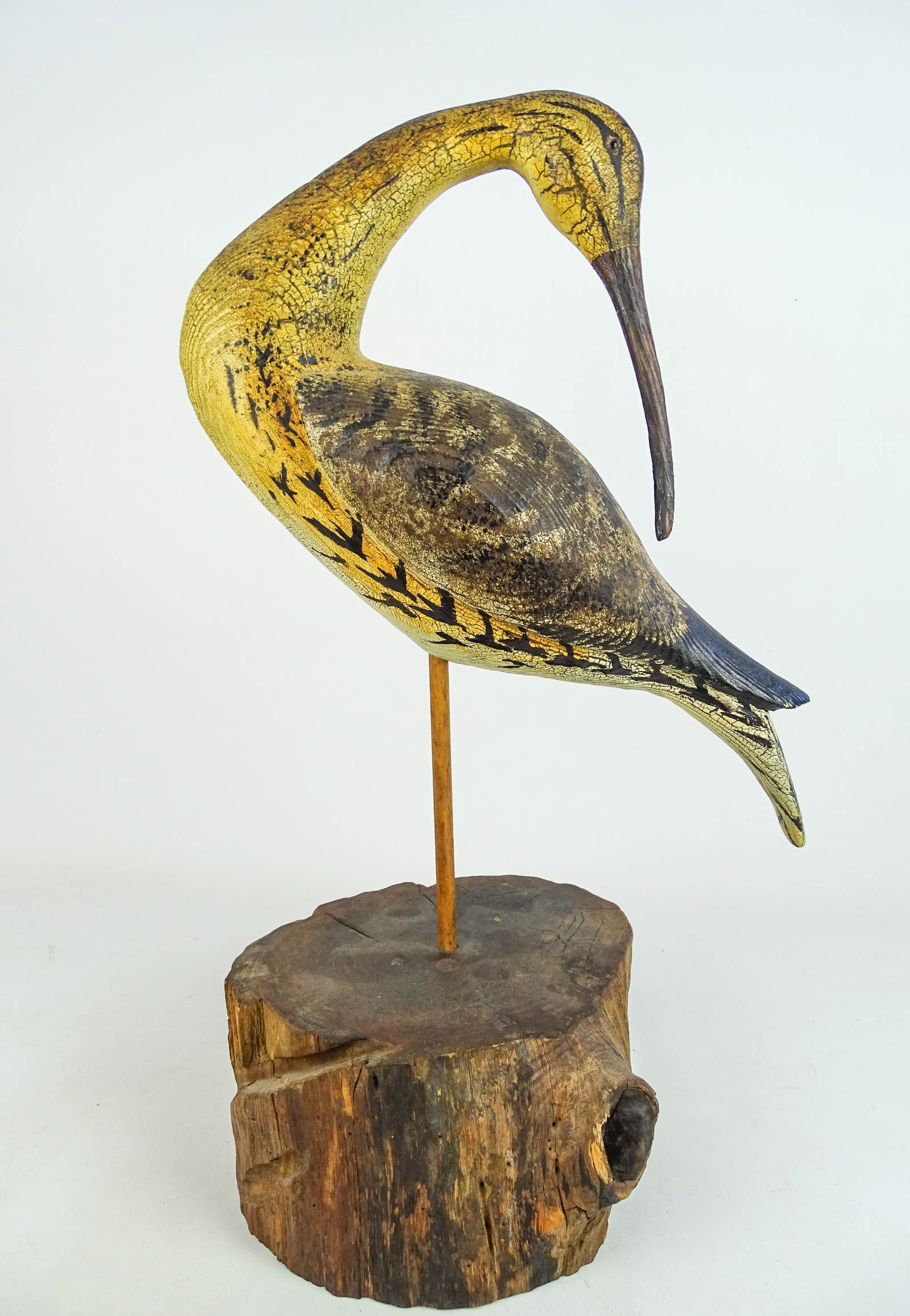 Shorebird - 7