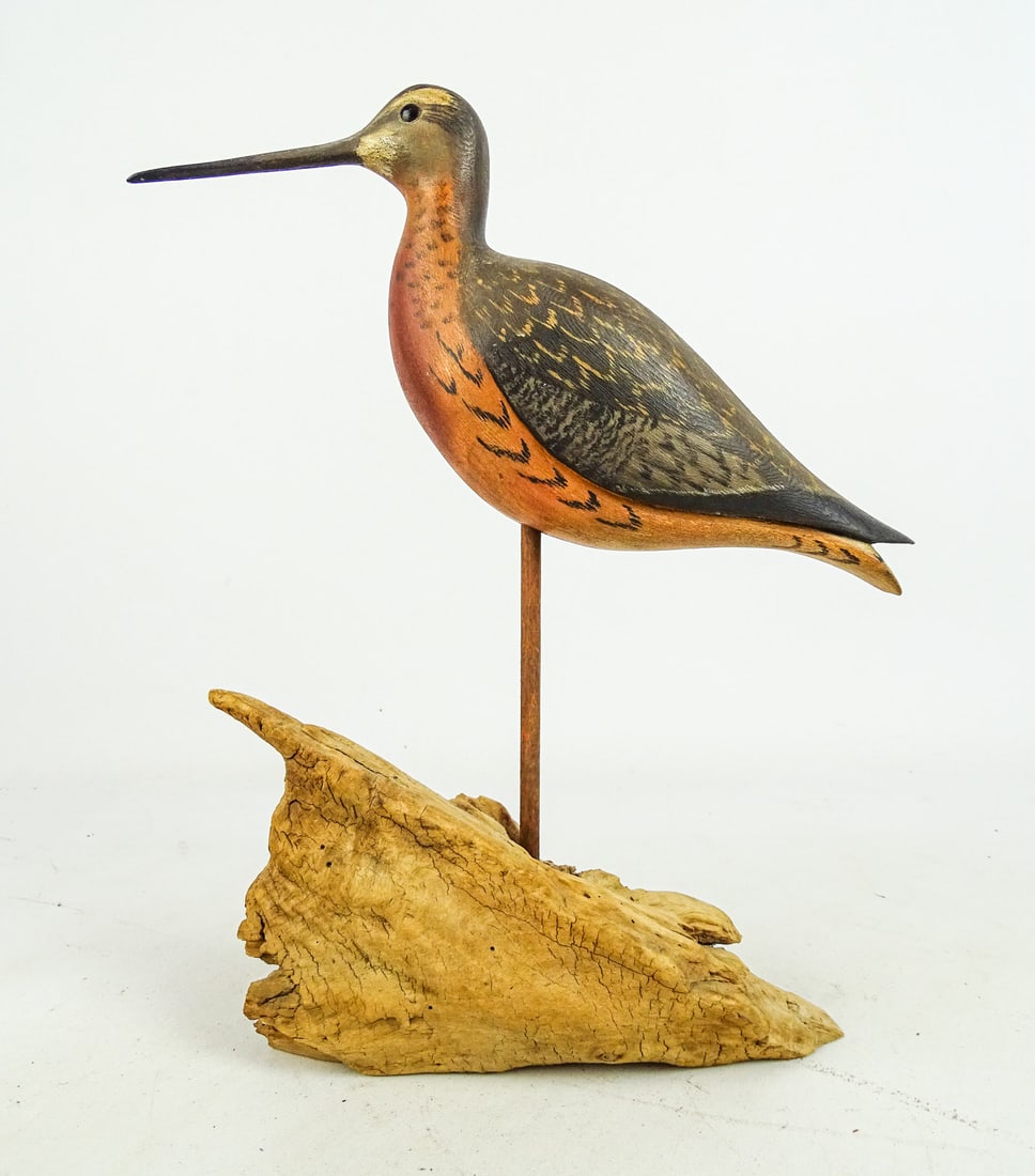 Shorebird - 2