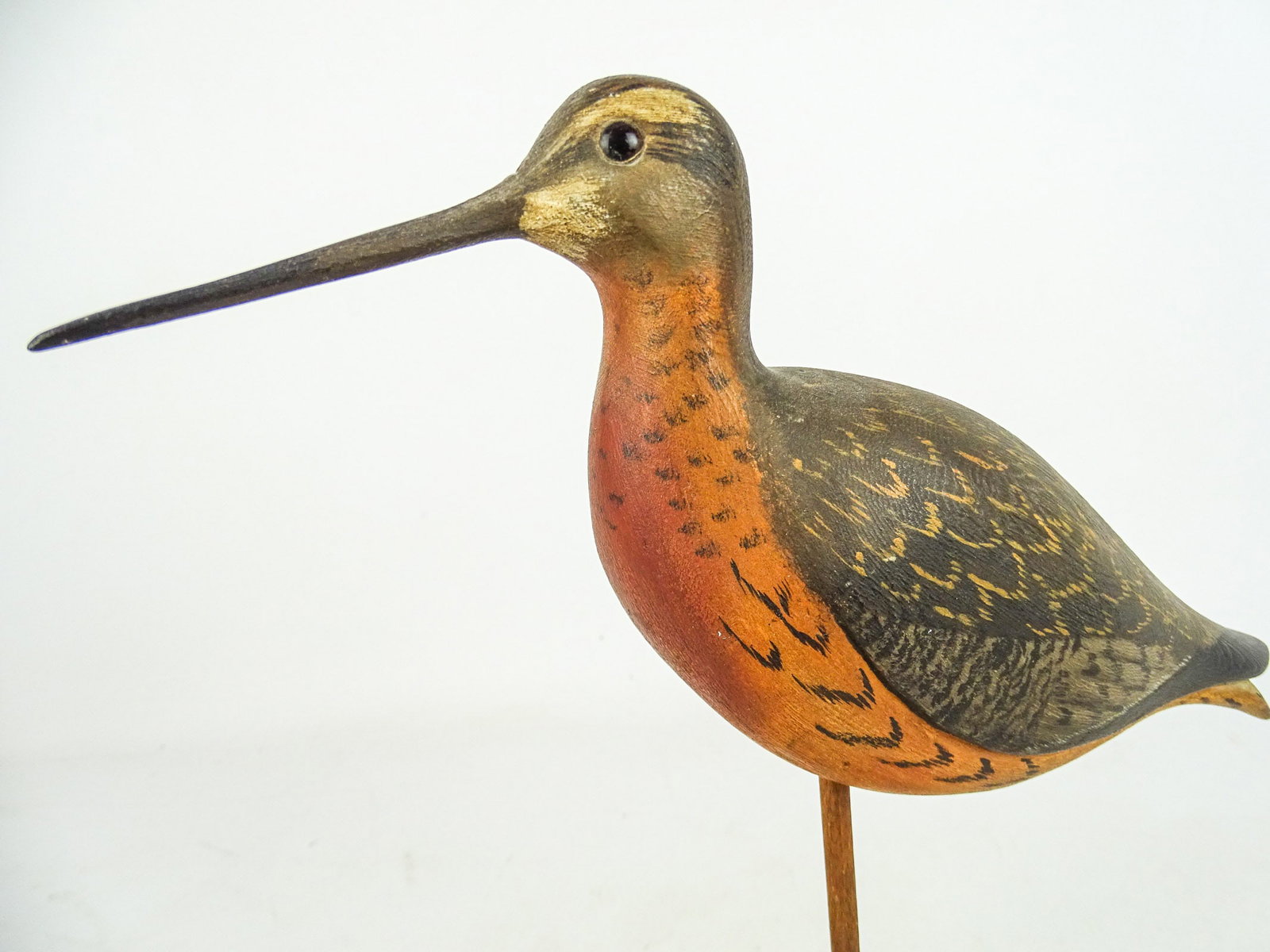 Shorebird - 3