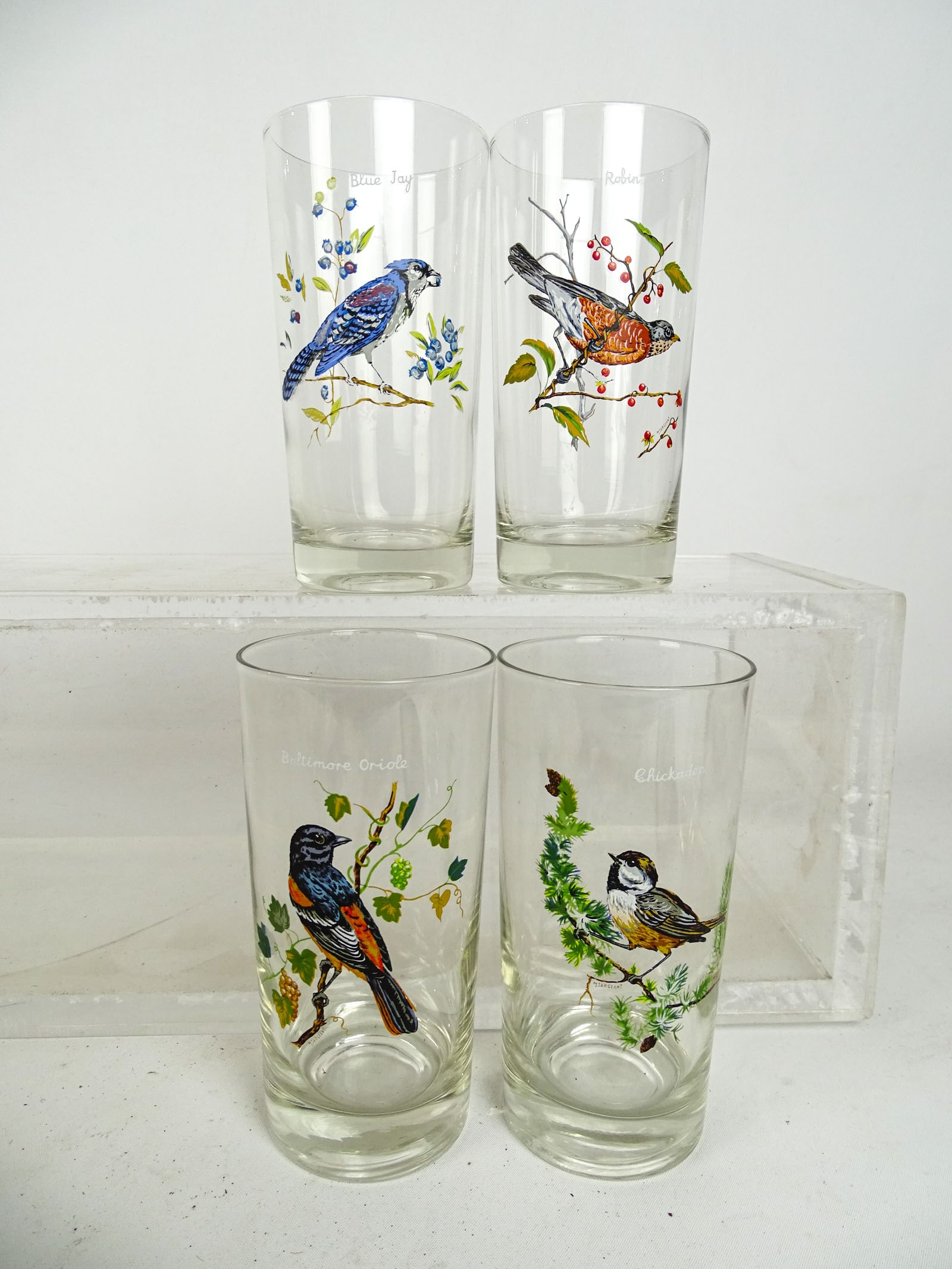 Hand Painted Glasses - 4
