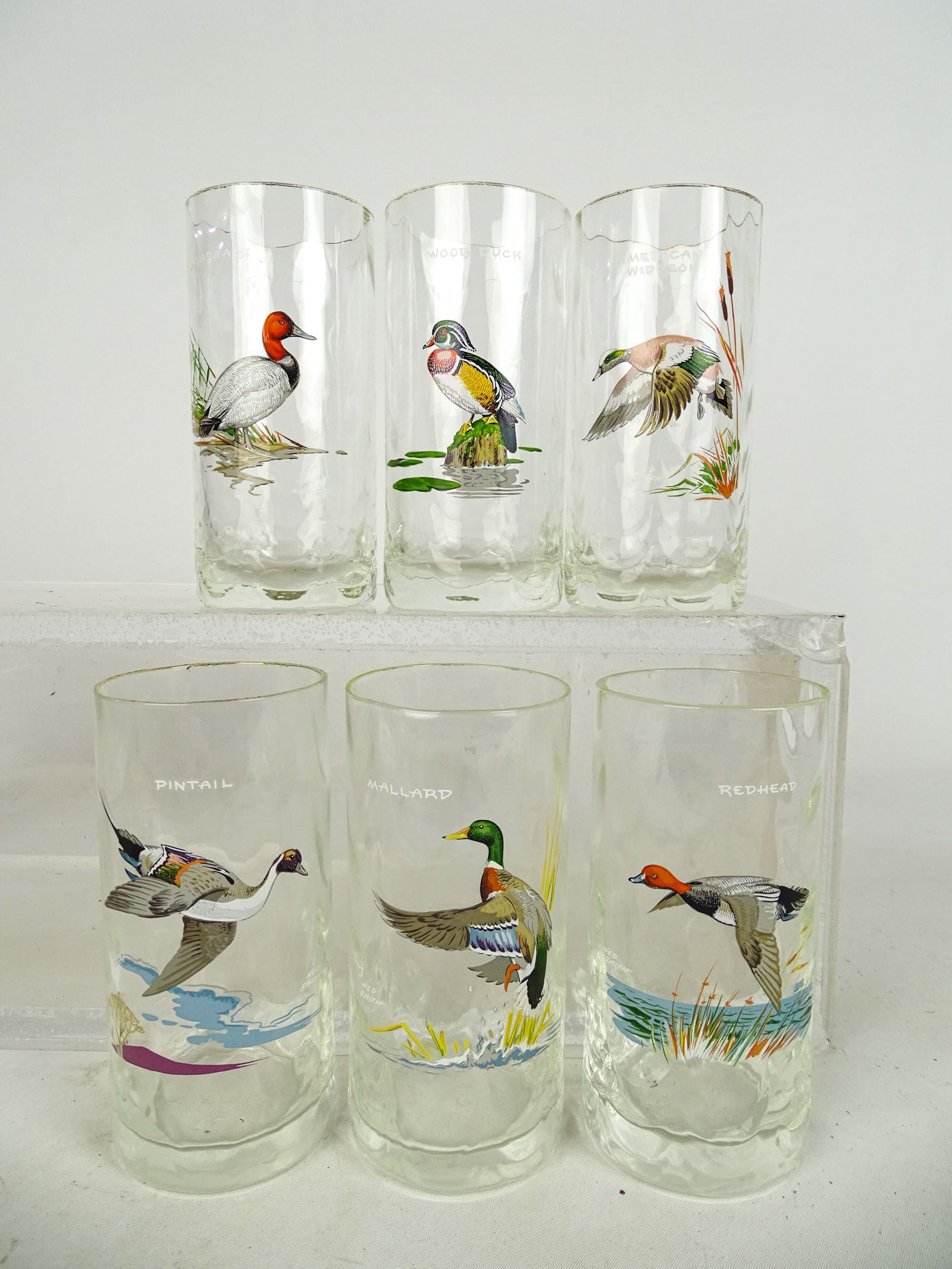 Hand Painted Glasses - 5