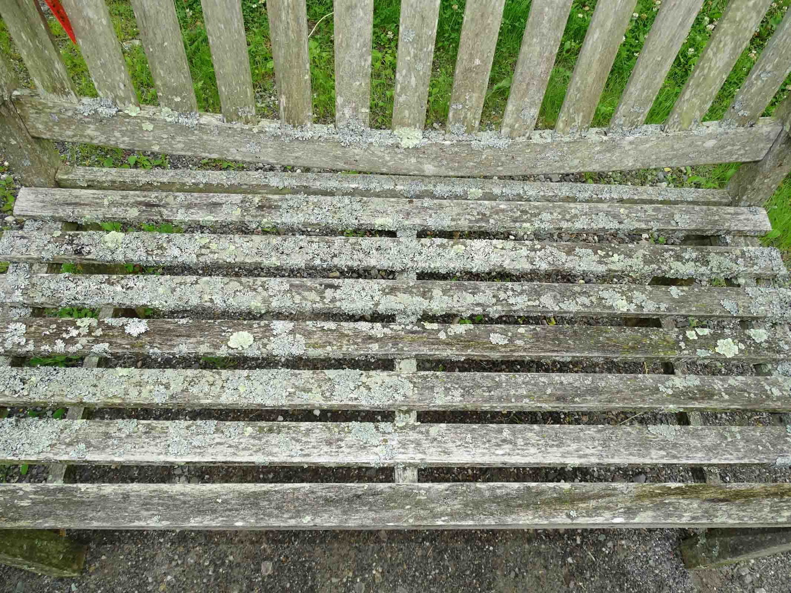 Teak Bench - 3