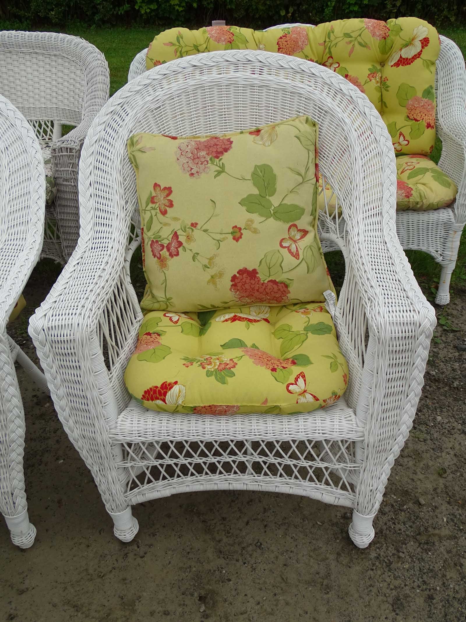 Synthetic Wicker Set - 6