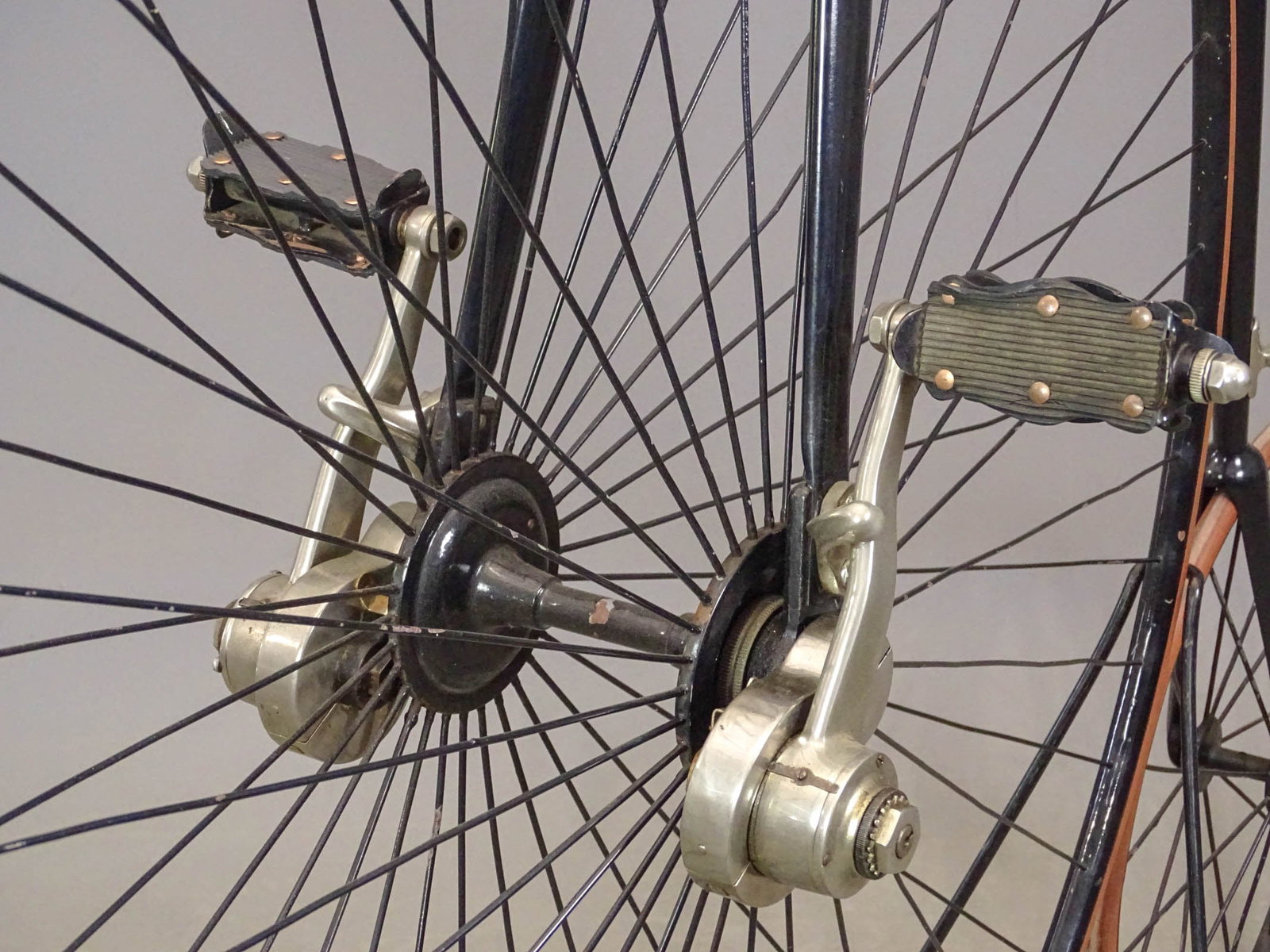 Springfield Roadster High Wheel Bicycle - 6