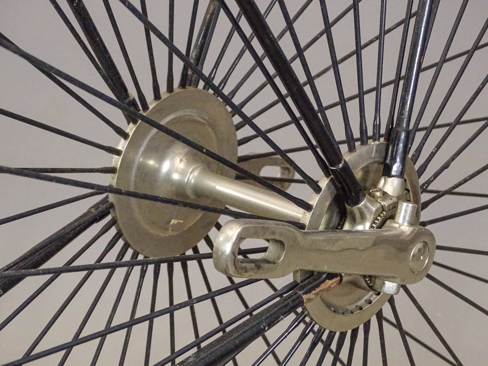 Eagle High Wheel Bicycle - 4