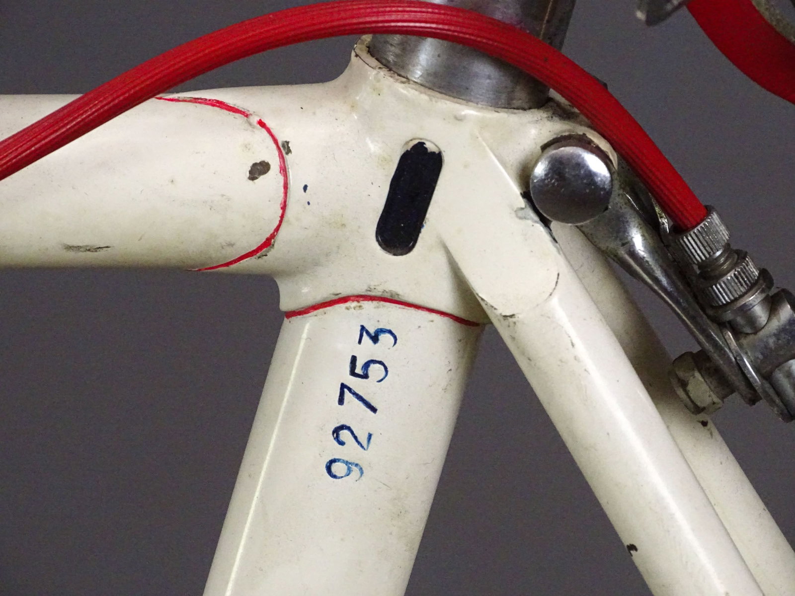 Frejus Racing Bicycle - 10