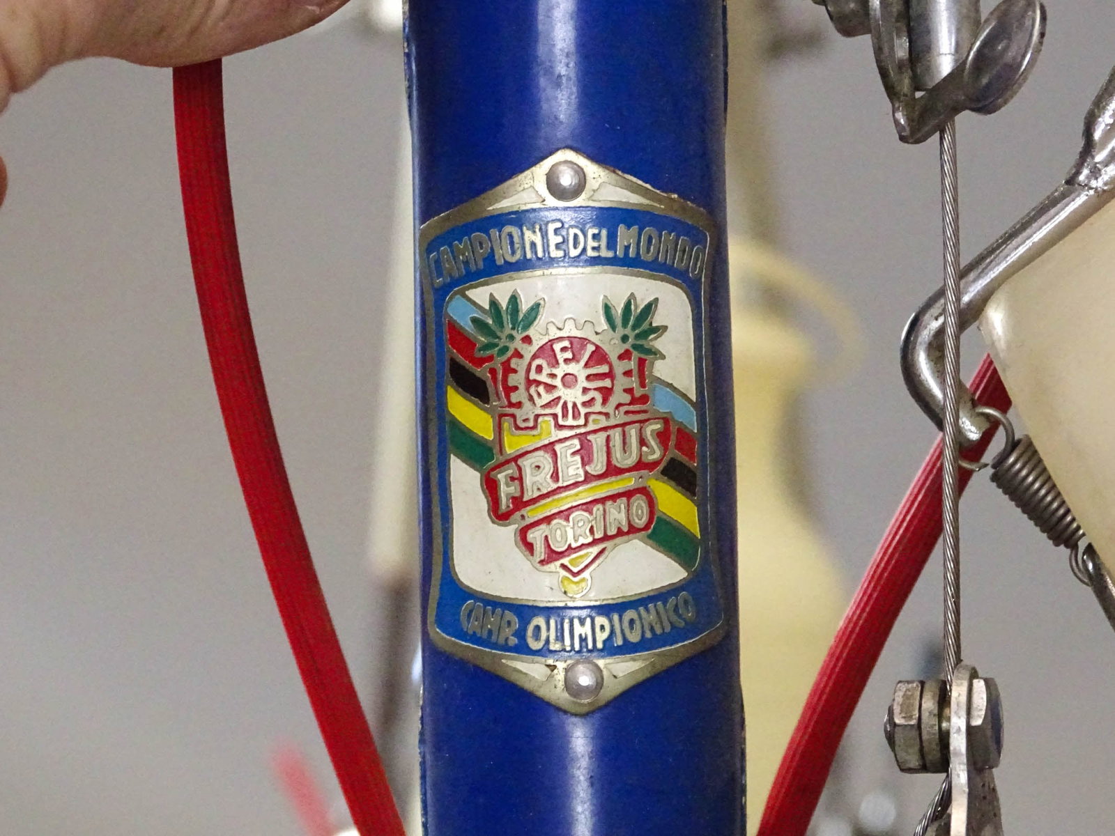 Frejus Racing Bicycle - 5